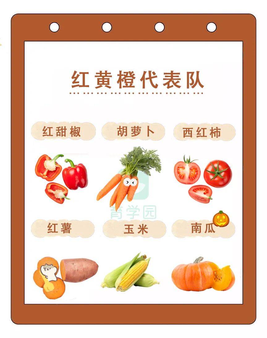 不同颜色的蔬菜营养大不同吃不对宝宝易生病长不高