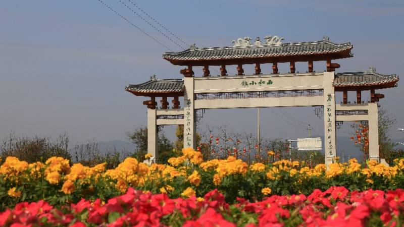 第二批广东省乡村旅游精品线路名单公布，广州3条线路入选