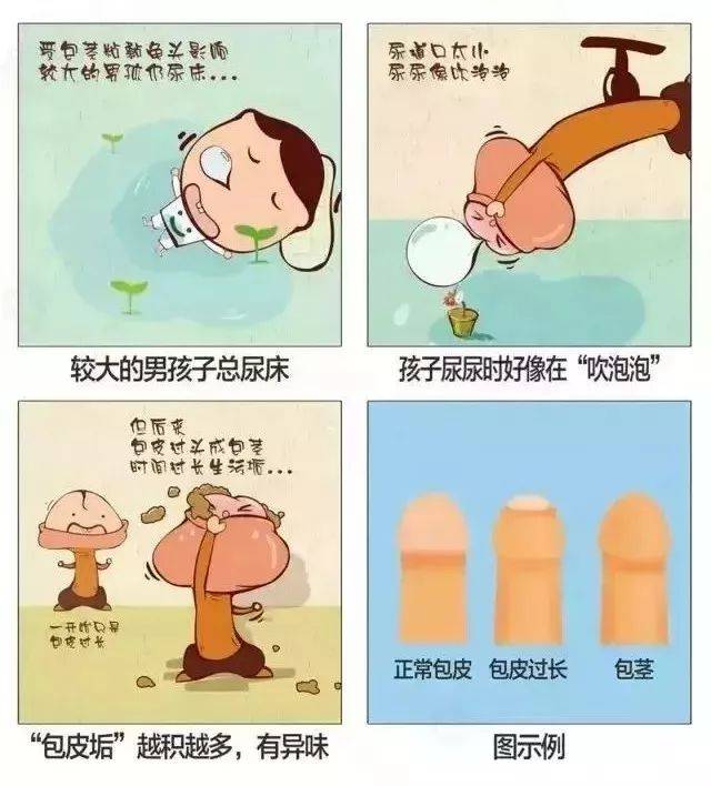 来自搜狐网