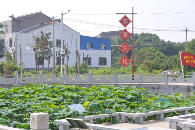 江苏省特色田园乡村,江阴再添一员_璜土镇