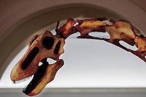 被焚毁的67「巴西国家博物馆」珍贵藏品深度解读_陨石