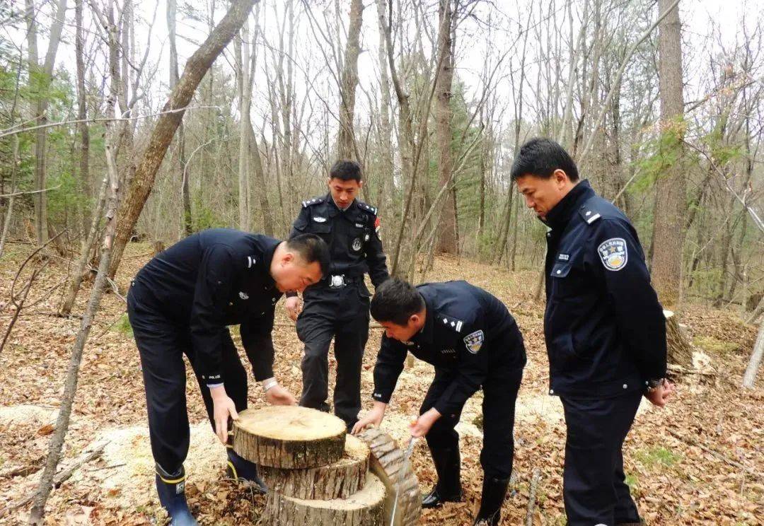 欢迎"回家"!吉林森林公安转隶入列