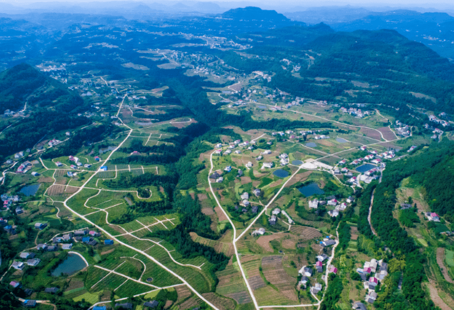 埡鎮龍山先鋒苗木產業園百利鎮白橋鎮永寧筆山村鴛溪鎮雲峰石家壩橋溪