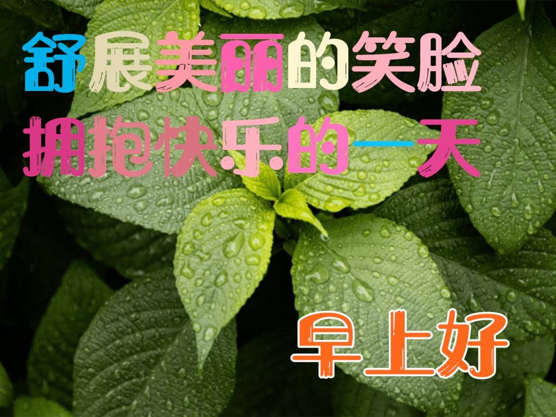 早上好日常祝福語早安問候圖片大全早安漂亮問候圖片短信祝福語