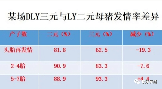 什么3代母猪能留种