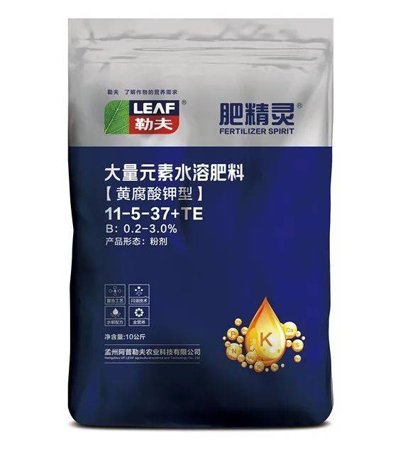 不畏地下三尺寒,勒夫带你热翻天!