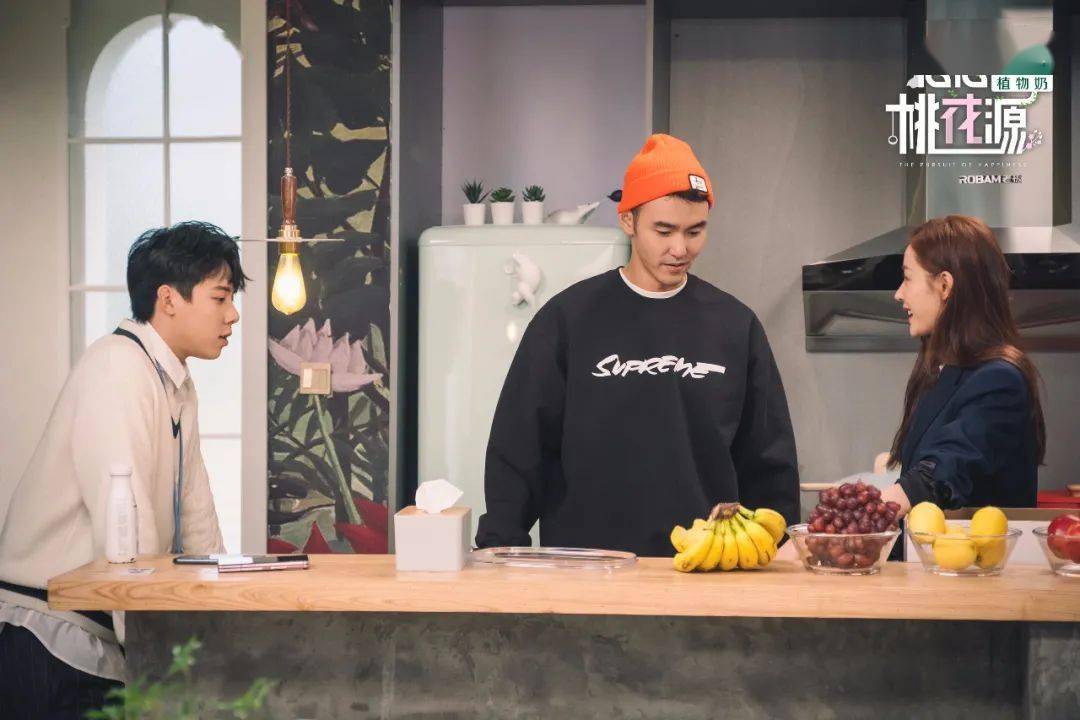 《念念桃花源》治愈上线,阮经天,张天爱走进都市"桃花源"