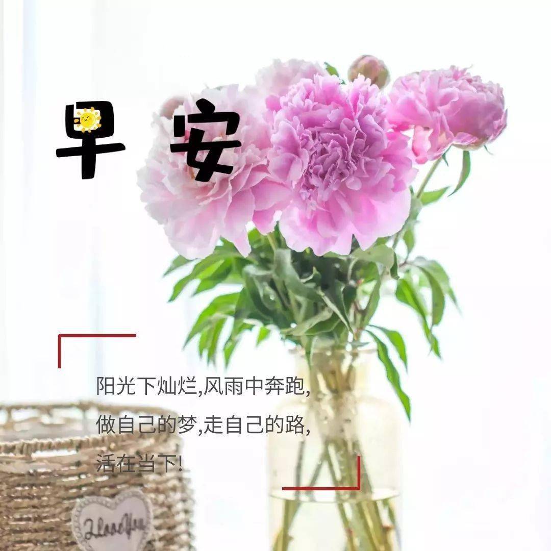 1月6日早安新的一天新的开始