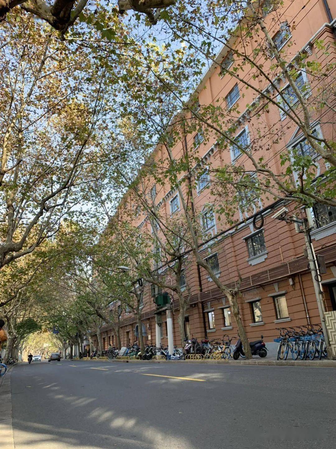 爱神花园一座有爱的花园洋房作家协会的爱称巨鹿路675号