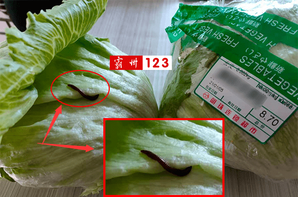 霸州大型超市再遭网友吐槽蔬菜上竟然有不明活物在爬