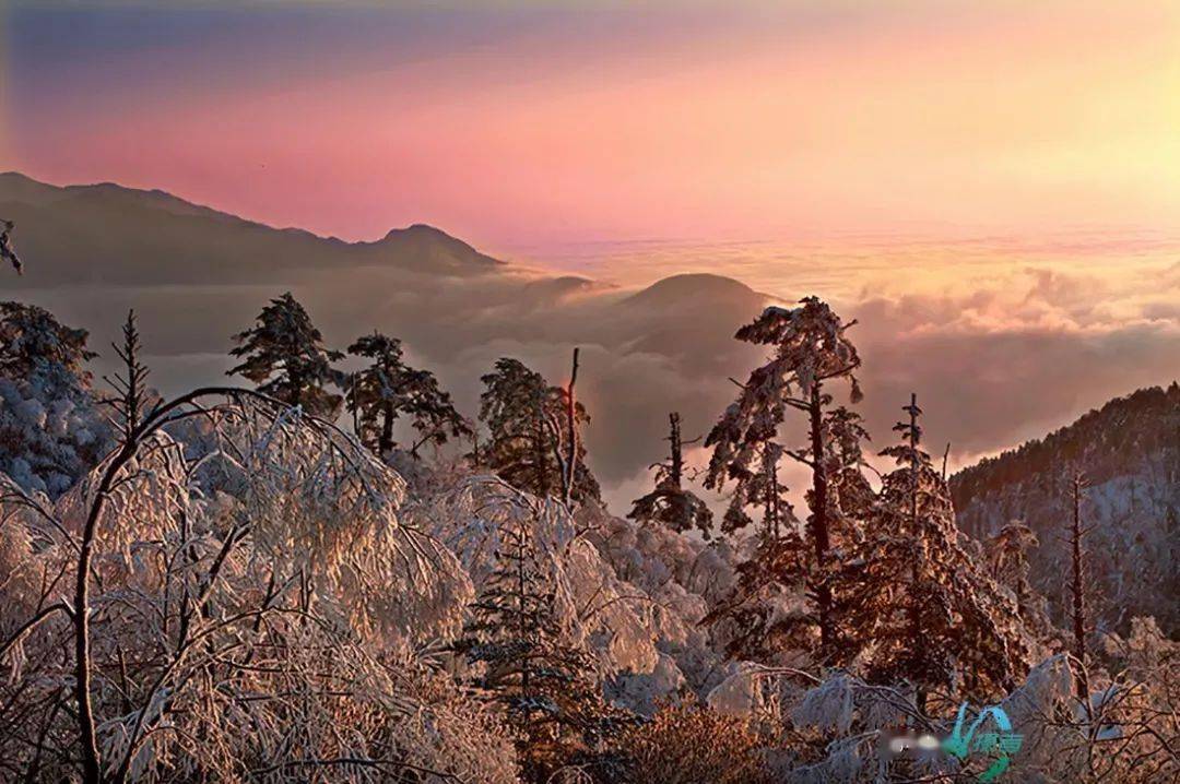 宝兴大雪道路冰封但雪景真美银装素裹冰挂美景惊艳冬日