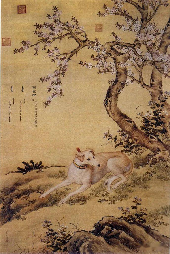 名品视界67郎世宁十犬图欣赏