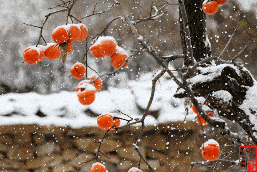 520_347gif 动态图 动图