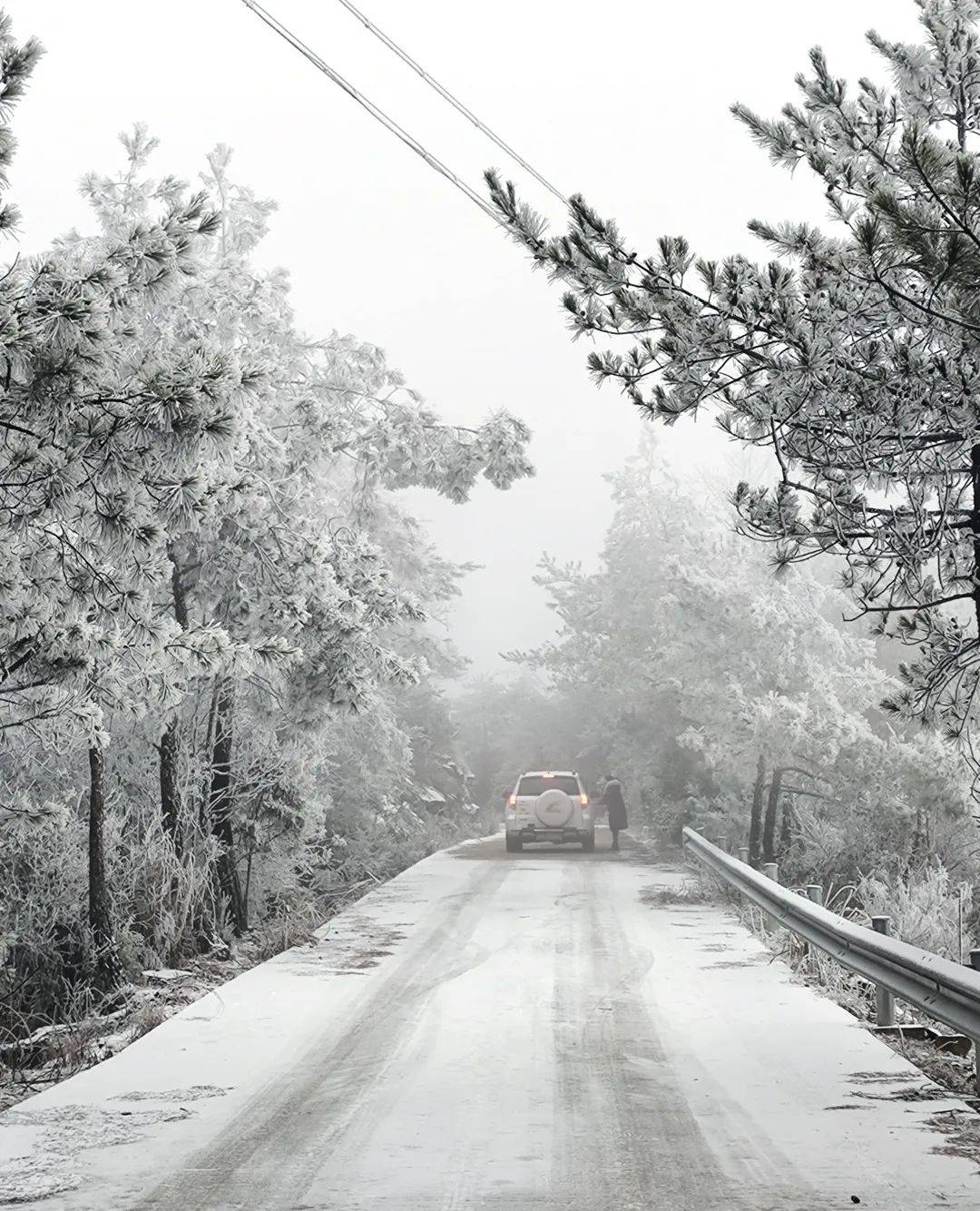 直播看雪南平十县市雪景已集齐
