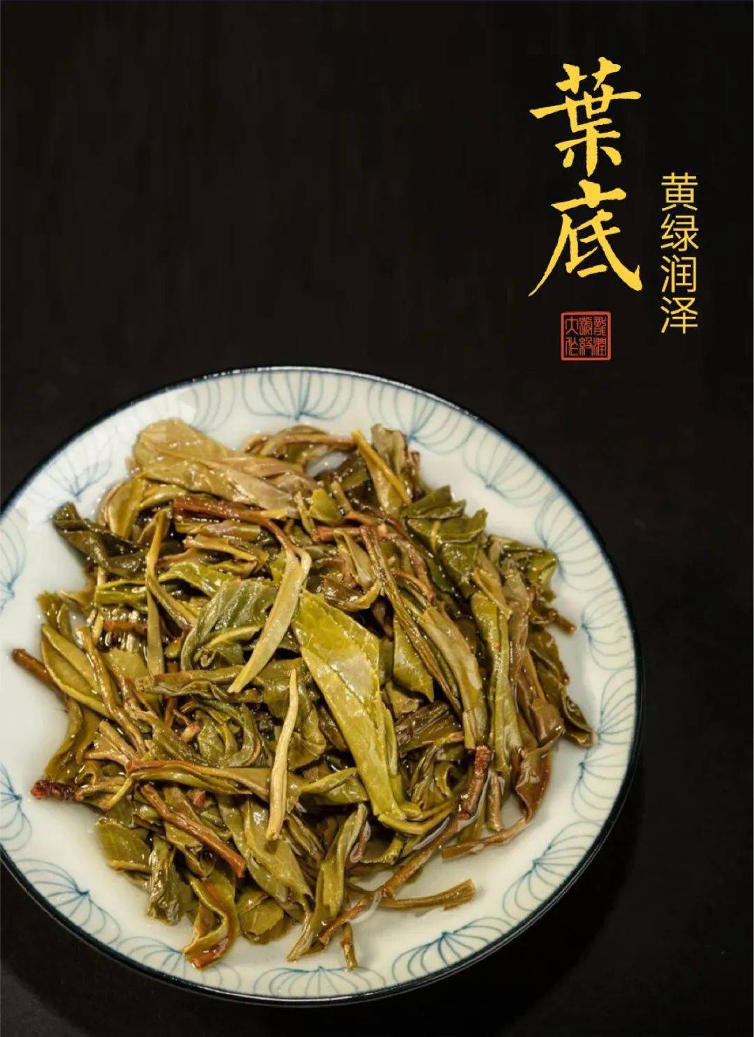 龍潤茶第四代大師茶青出於藍勝於藍