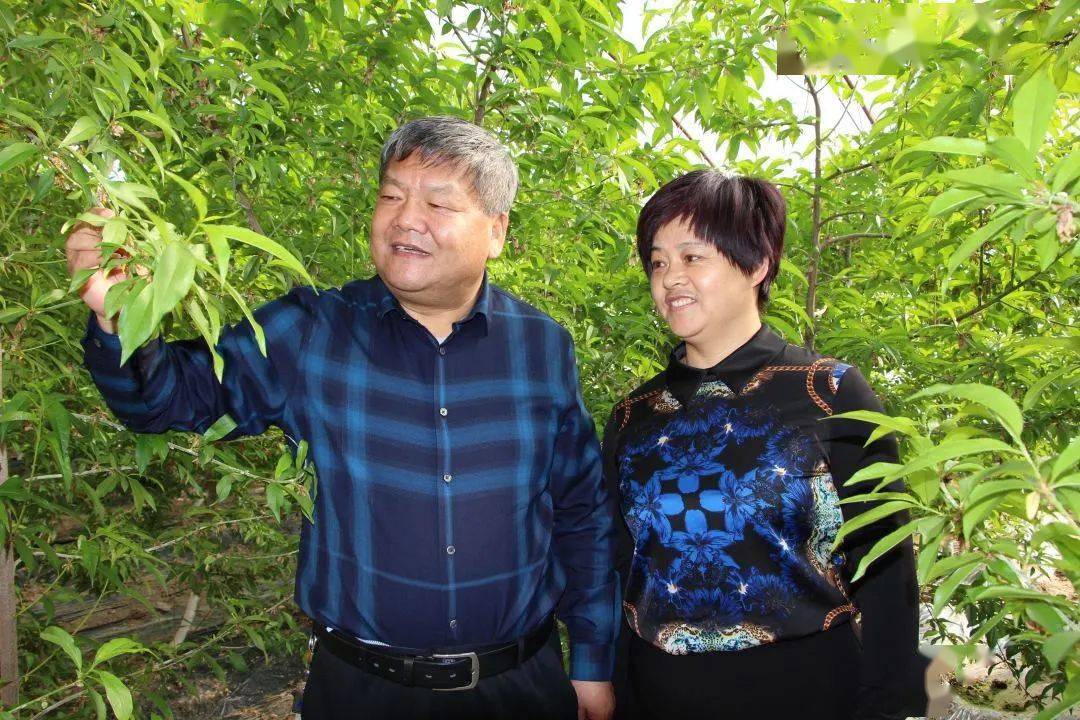 喜报银达镇这个家庭荣获全国最美家庭荣誉称号