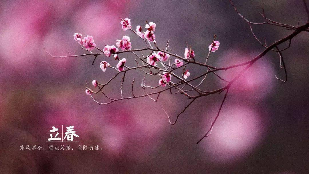 春风秋雨二十四节气