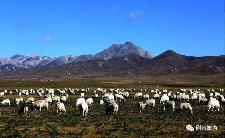 再说一句赤心话再唱一曲草原歌去看看情满蕃域离湖最近的地方我想回藏