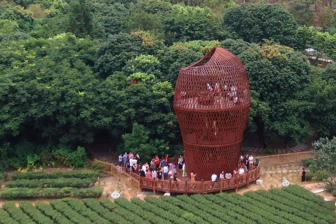 新山村廣東省十大美麗鄉村,集紅色文化體驗,鄉村生態休閒於一體