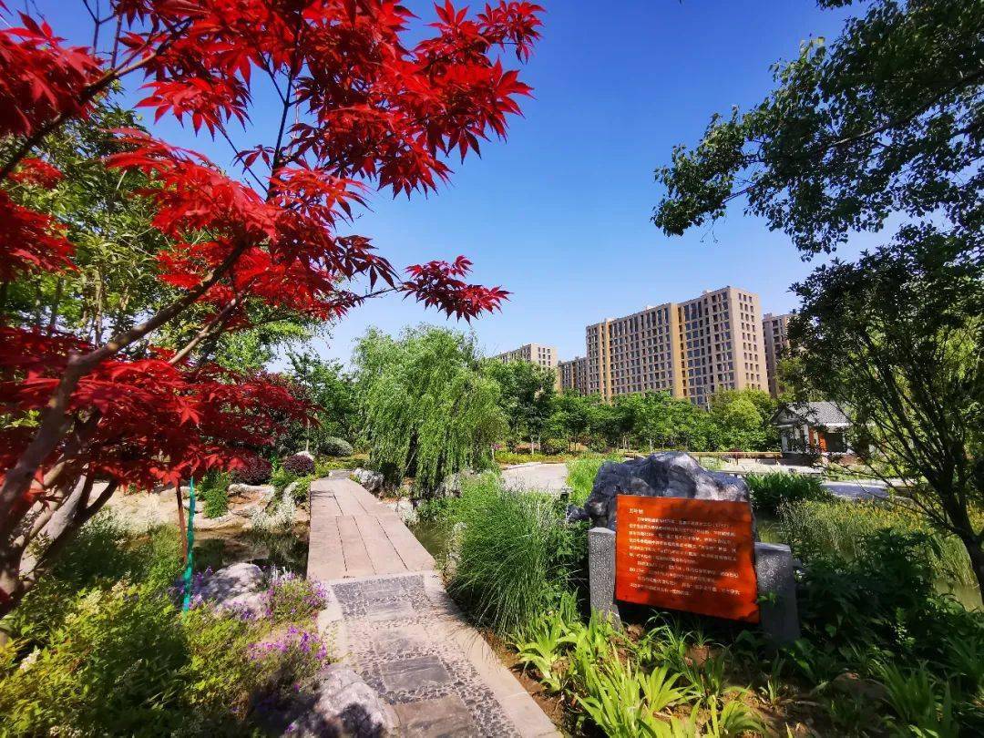 宝山区五年里新建各类绿地500多公顷,来看看ta们都在哪儿～_公园