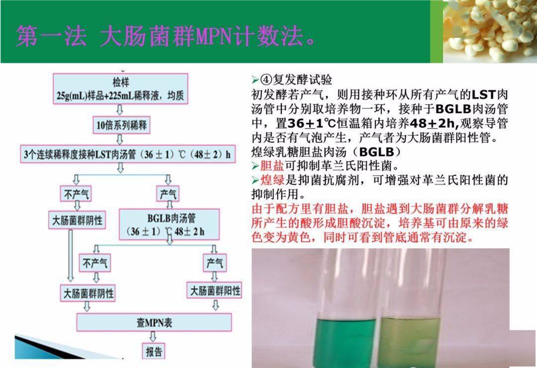 食品中大肠菌群金黄色葡萄球菌的检验与分析