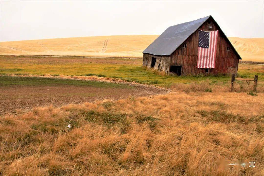 我亲眼看到的美国红州【疫情中冒险度假: 生死之旅 6】