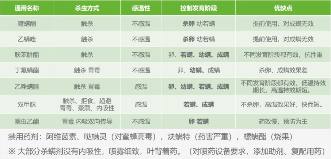 草莓红蜘蛛泛滥怎么办专家教你防治技巧助力果园优产