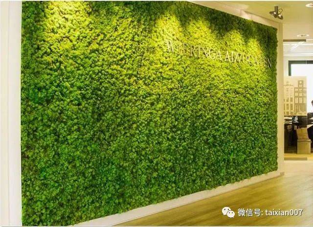 永生苔藓制作的植物墙非常适用于图书馆,餐厅,会客厅等公共场所.