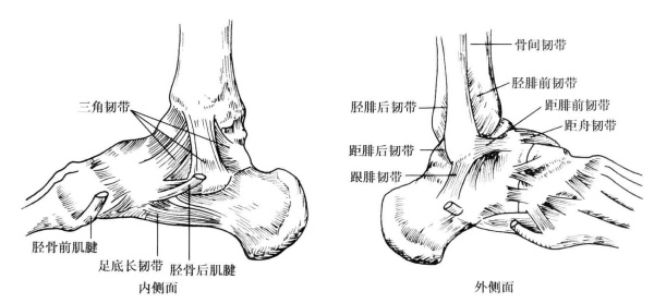 居家锻炼必备"良药,常见运动损伤的几点建议_脚踝