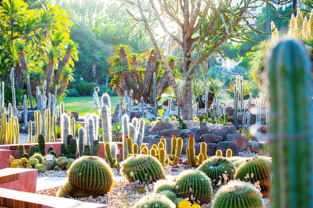 漂亮维多利亚皇家植物园新干旱花园上线