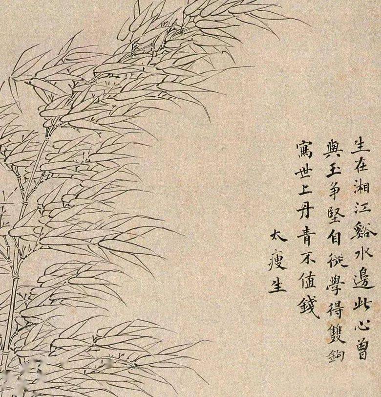 【品鉴】明 《双钩竹石图》_陆愚卿