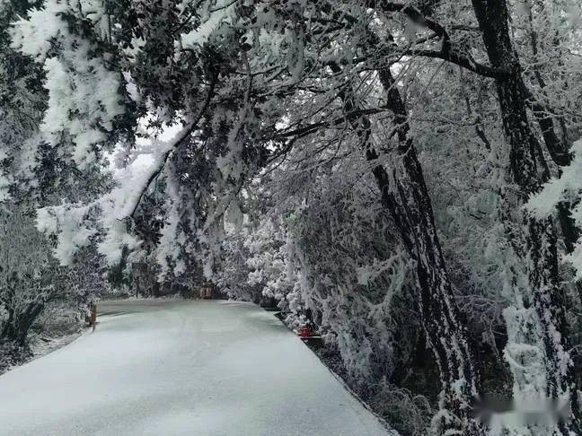 沾益珠江源雪景忽如一夜春风来千树万树梨花开