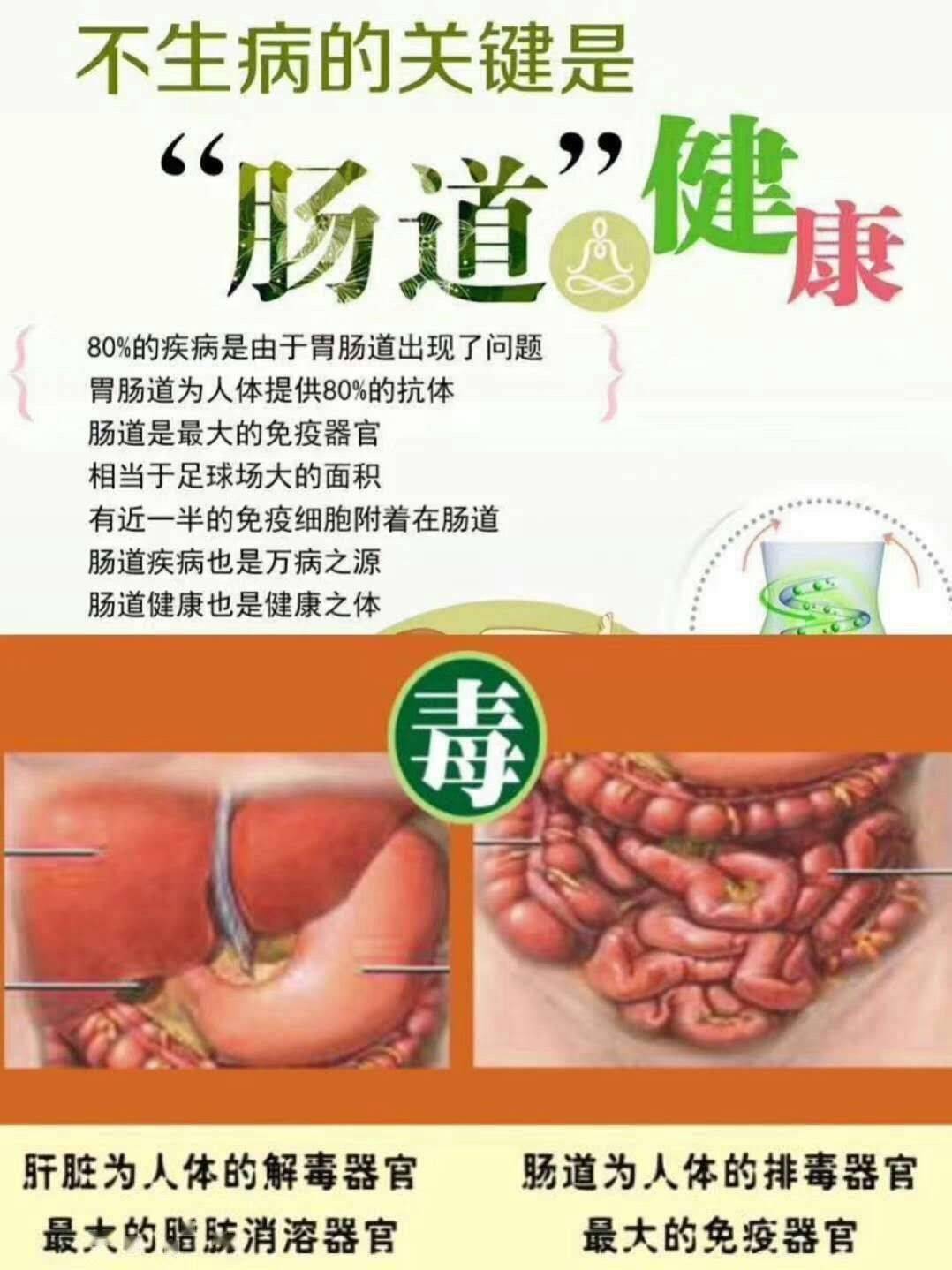 悦健康丨肠年轻,才能常年轻哦~_肠道