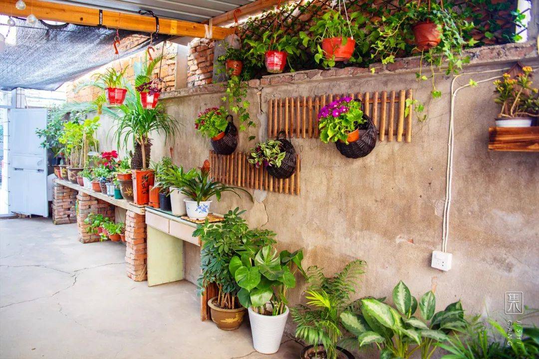 美丽庭院丰收季 | 诗画集士港,创意靓庭院_翁家桥