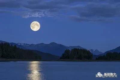 月亮普通如尘,月光清澈如水,苍穹之中,我选择这静美之月