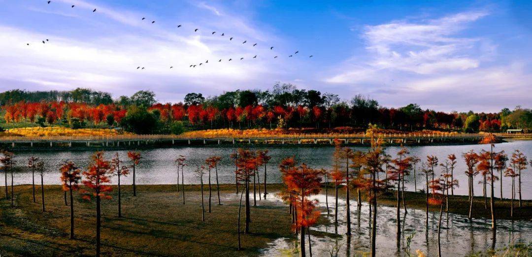 南京市六合区竹镇大泉湖路,或导航搜索"南京枫彩漫城景区"【素材来源