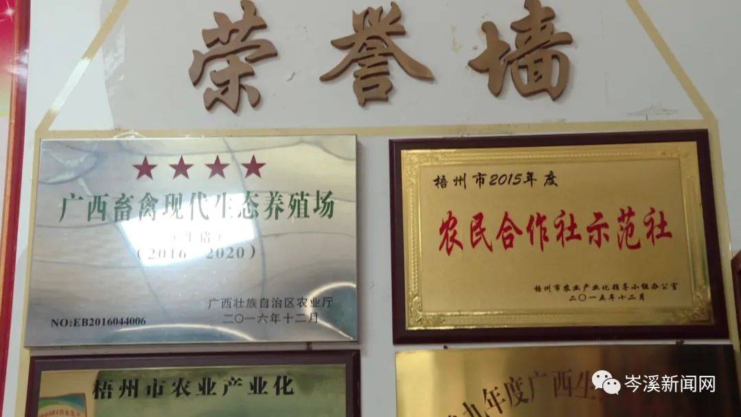 致富带头人简介(致富带头人简介模板)