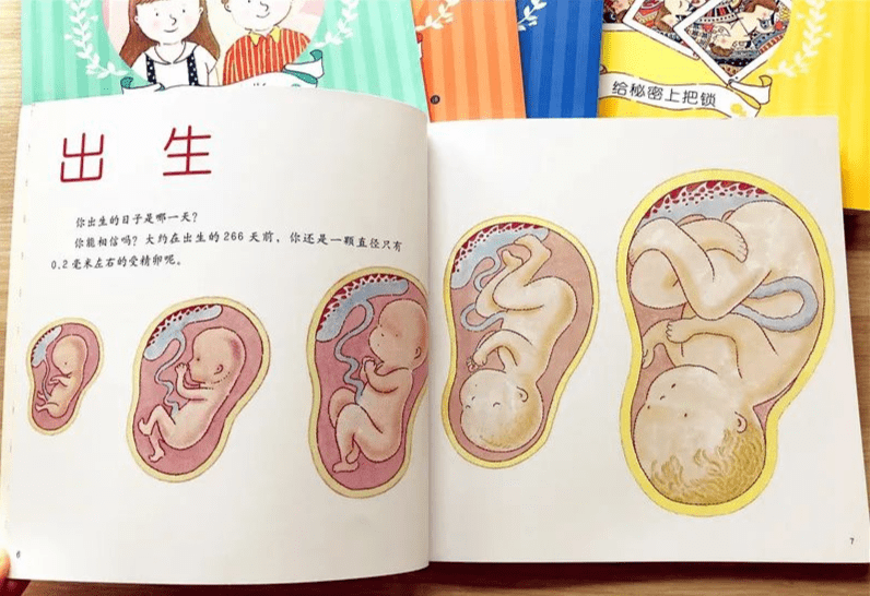 《我从哪里来》完整讲述了宝宝是怎样孕育和出生的,生命的神奇,生活的