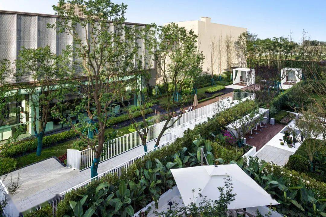 67打造创新型景观空间丨致澜景观2020精品项目合集_金科