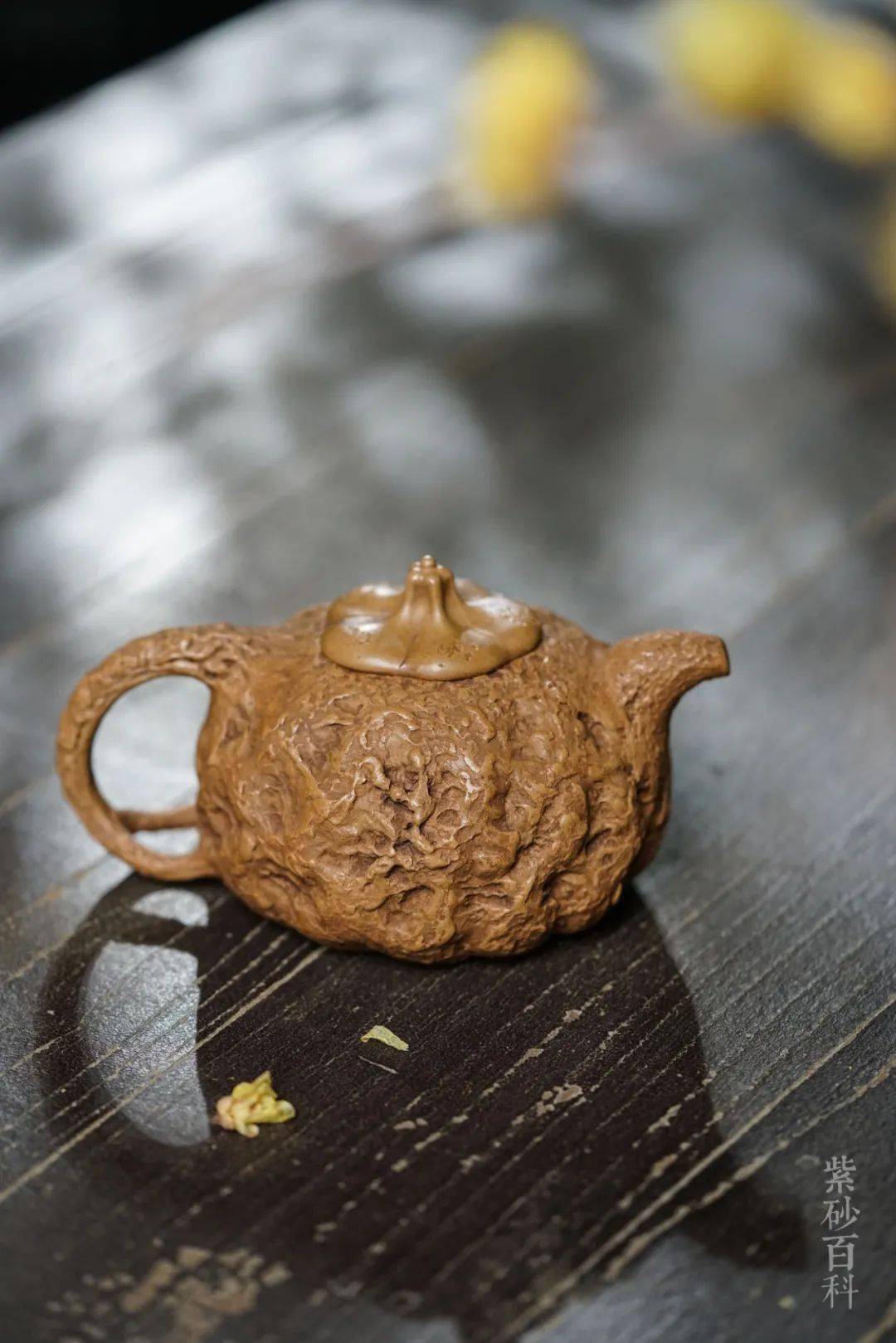 雅藏供春61余法龙