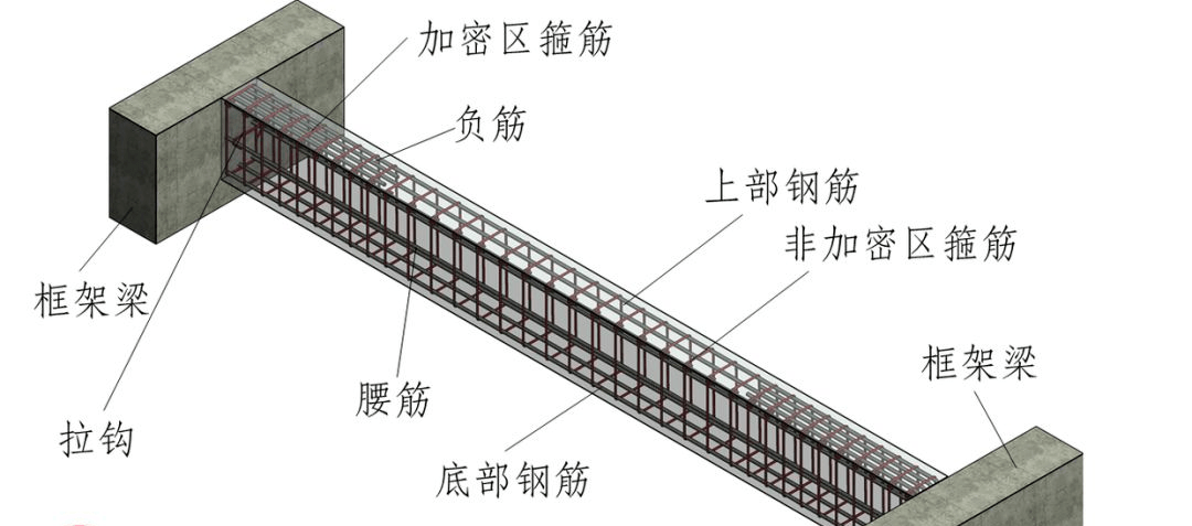 构造筋的位置图解图片