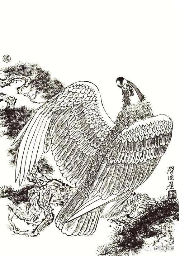 梁启德《鹰姿白描画谱》梁启德《鹰姿白描画谱》梁启德《鹰姿白描画谱