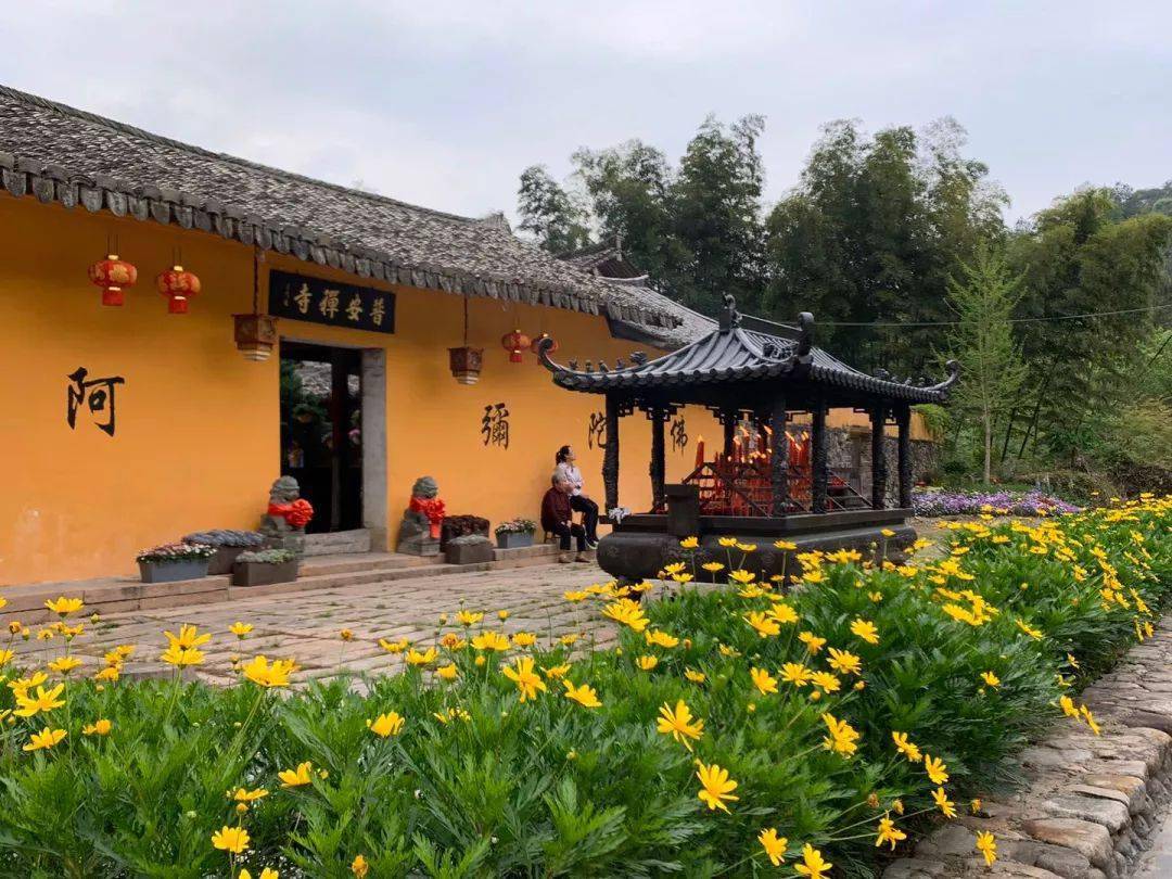 普安寺2021年全年普佛已开始报名