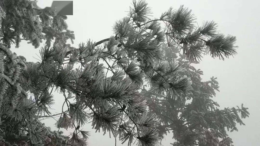 铜钹山雪景图片