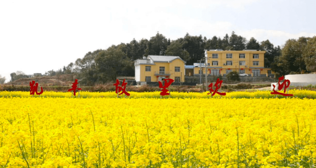 喜訊第二批江西省鄉村旅遊重點村名單公佈萍鄉這三個村入選