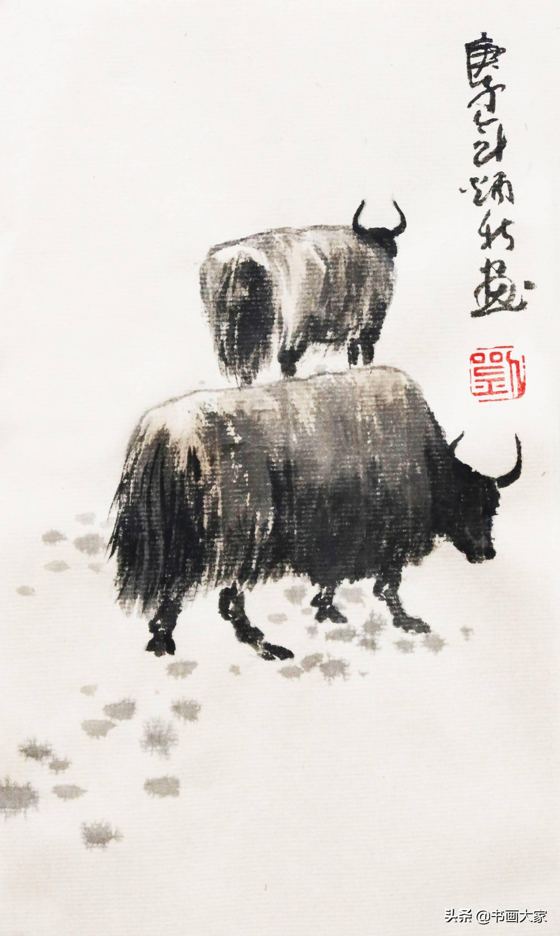 野牦牛图片绘画图片