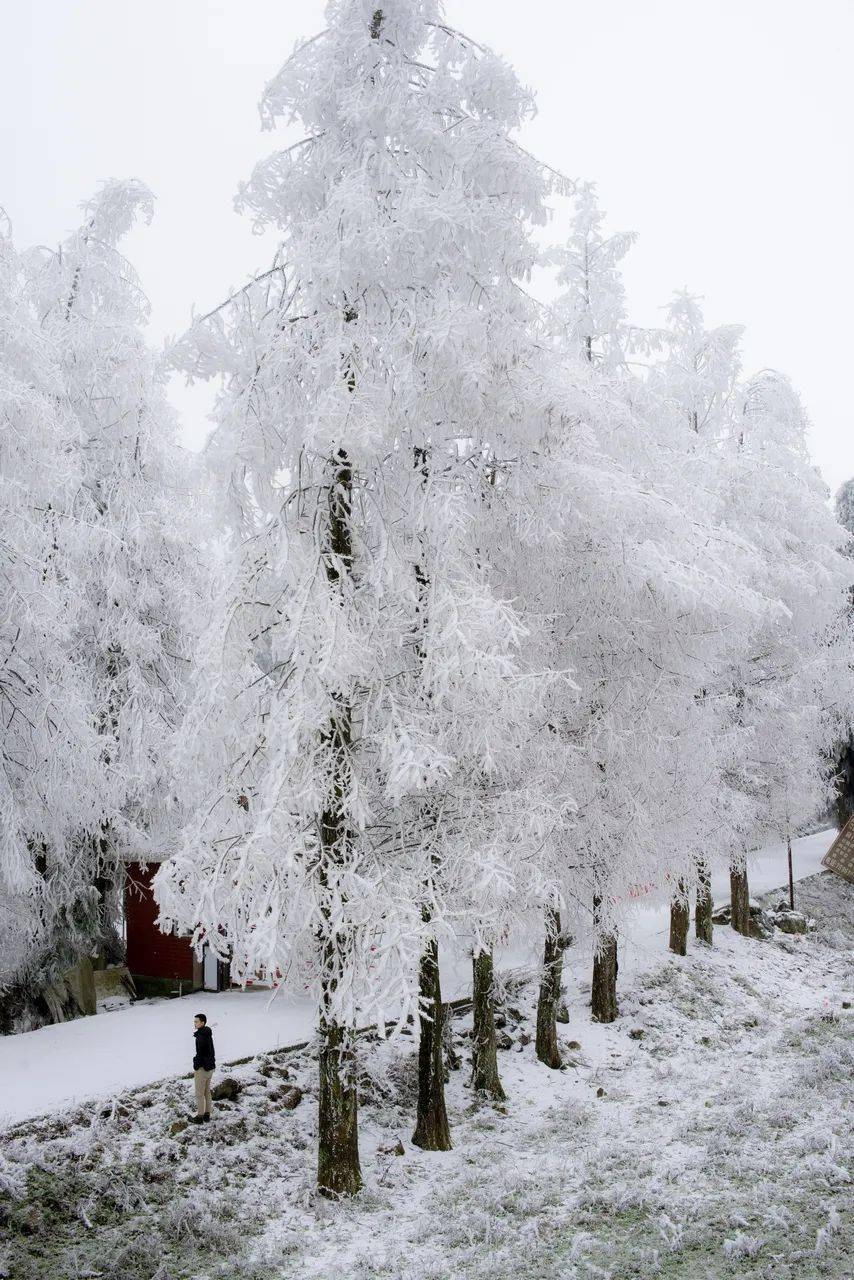 天冠山麓下雪图片