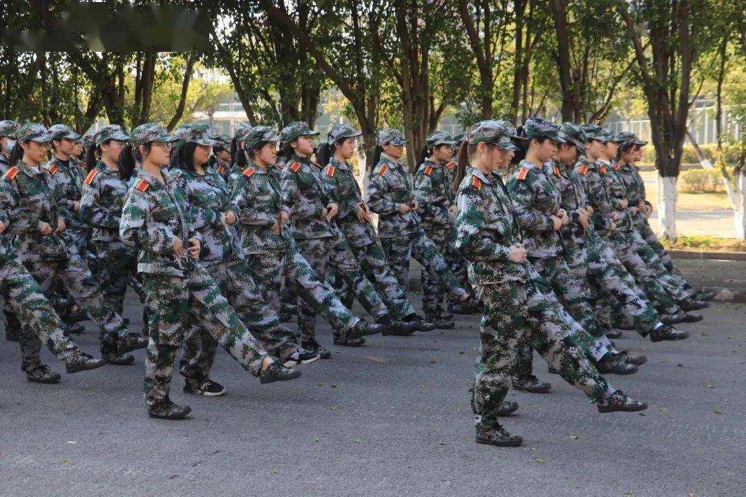 军训特辑多图回顾军训之旅