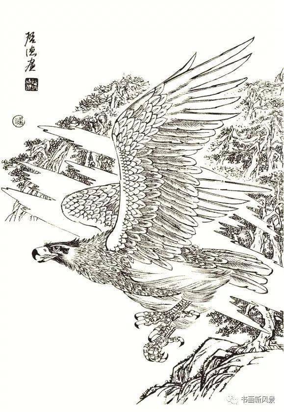 梁启德《鹰姿白描画谱》
