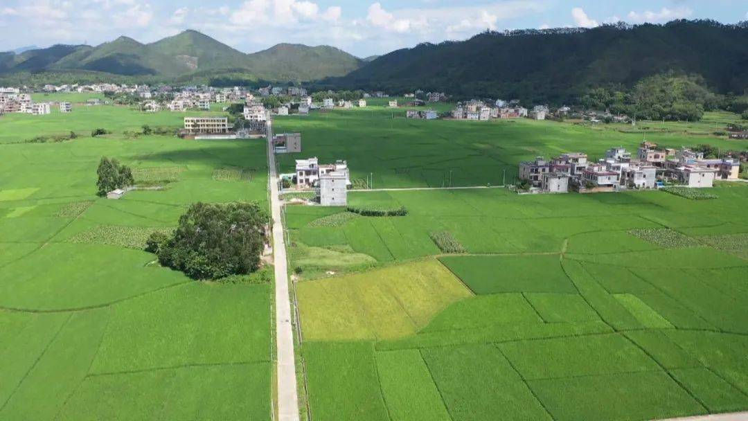 福建南山村图片